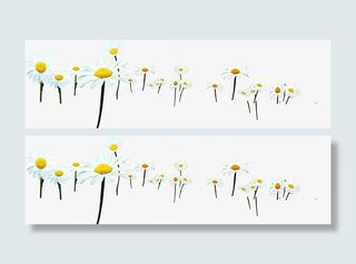 白色手绘美景花朵春天免抠