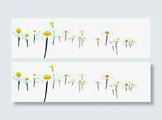 白色手绘美景花朵春天免抠