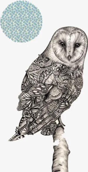 素描站在树枝上的猫头鹰免抠