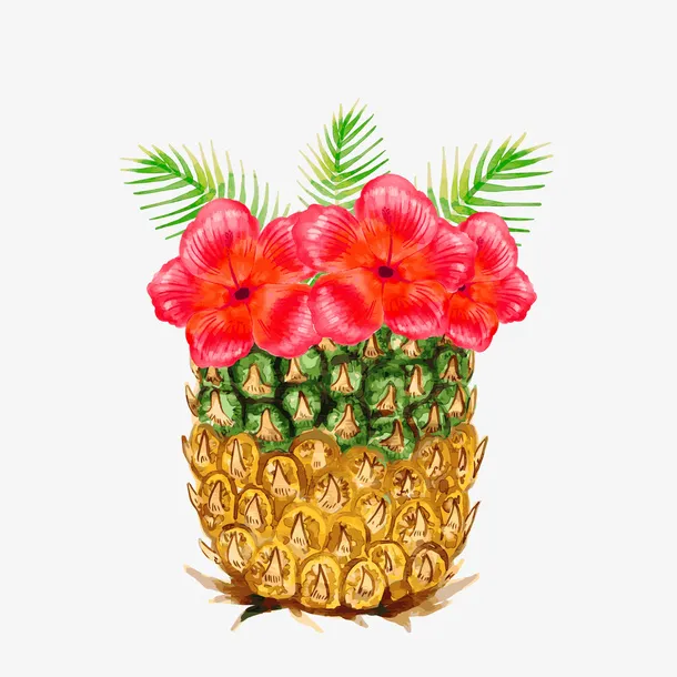 水彩绘插在菠萝里的扶桑花矢量图免抠
