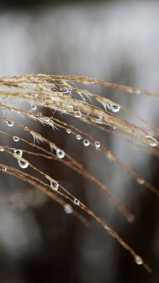 简约朦胧水珠手机端H5背景高清