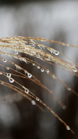 简约朦胧水珠手机端H5背景高清
