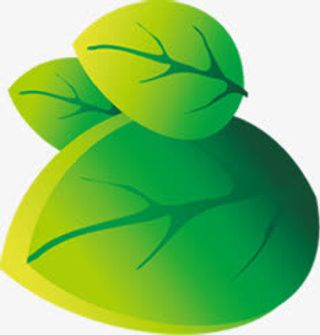 植物树叶卡通夏日海报免抠