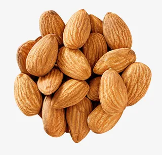 扁桃仁png无背景图