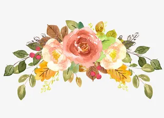 水彩简约花卉免抠图免抠