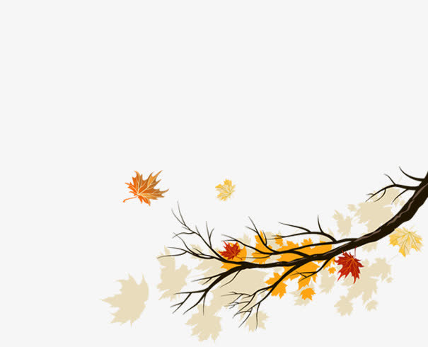 手绘枫树叶子树枝免抠