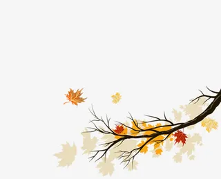 手绘枫树叶子树枝免抠