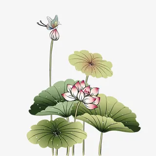 春节中国风荷花免抠