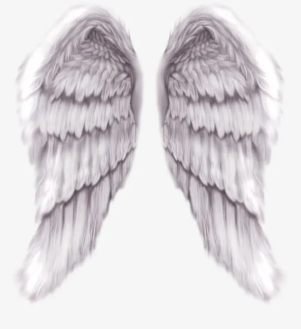 翅膀装饰图案8825桌面壁纸免抠