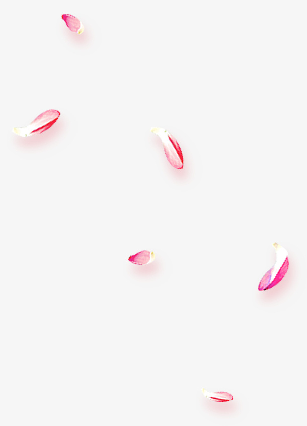 漂浮素材玫瑰花瓣免抠