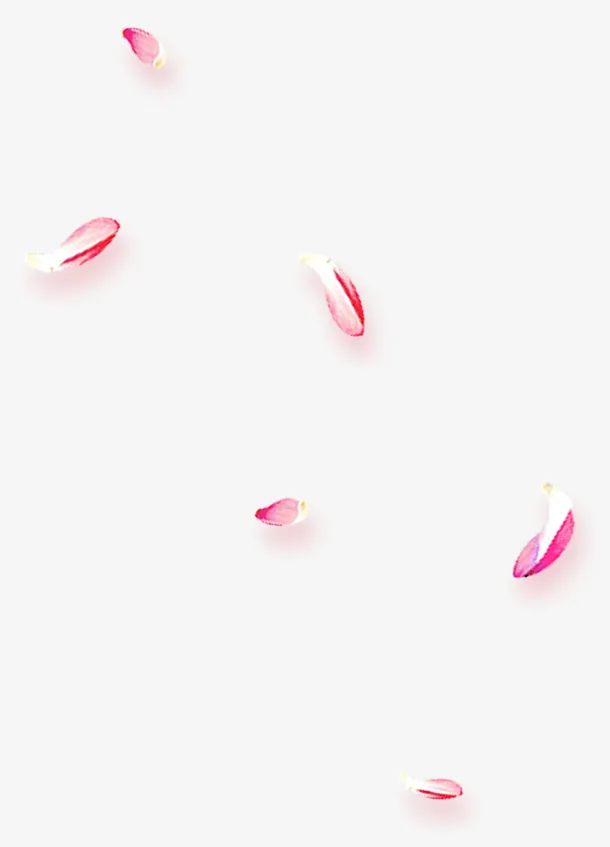 漂浮素材玫瑰花瓣免抠