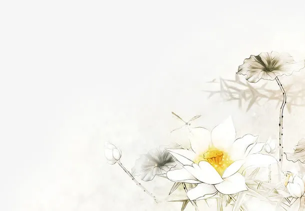 国画荷花竹子蜻蜓免抠