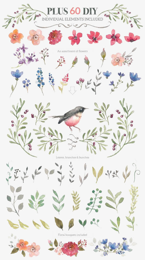 花鸟装饰图免抠