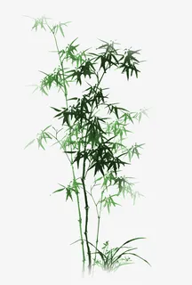绿色竹子免抠
