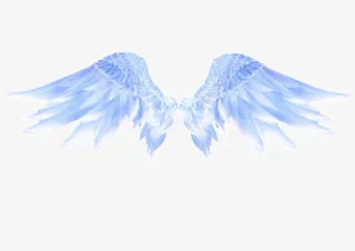 天使之翼免抠