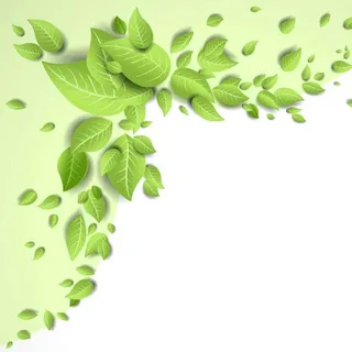 淘宝绿色清新简约绿叶PSD主图背景素材高清