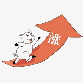猪肉上涨免抠