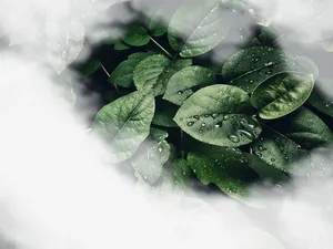 春天绿色山水叶子绿免抠