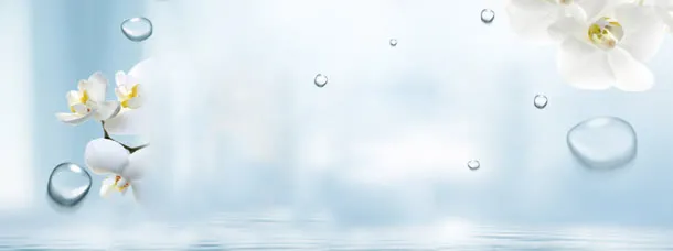 素雅海报免抠