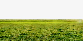唯美大气绿色的平坦草地免抠