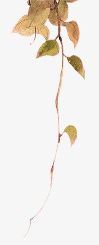手绘花瓣免抠