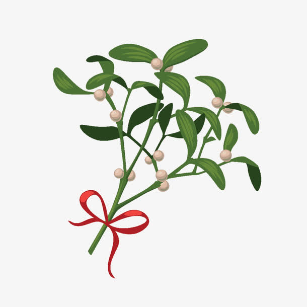 端午圣诞花枝树枝免抠