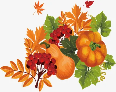 秋季果实设计免抠