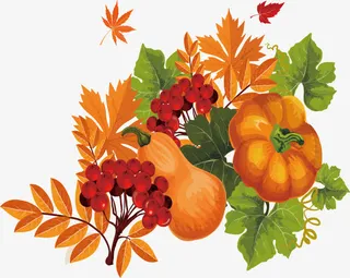 秋季果实设计免抠