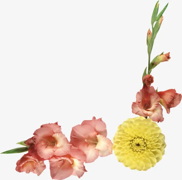 卡通手绘花朵装饰素材免抠