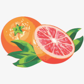 水彩红橙免抠