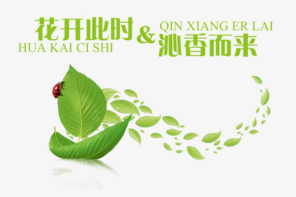 绿色叶免抠