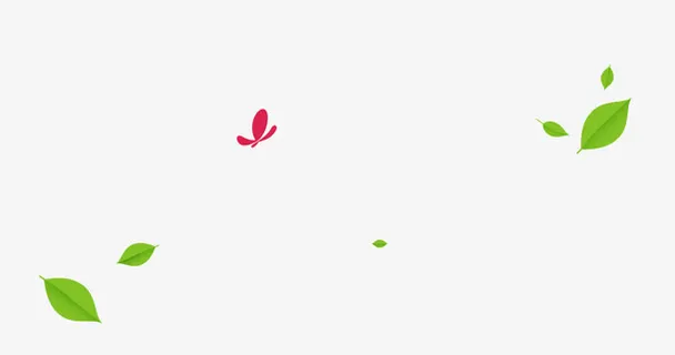 漂浮树叶免抠漂浮叶子元素