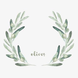 手绘水彩清新橄榄枝花环图标设计免抠