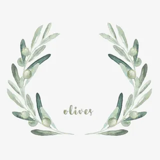 手绘水彩清新橄榄枝花环图标设计免抠