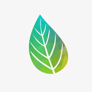 渐变的树叶免抠