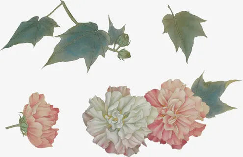手绘牡丹花绿叶免抠