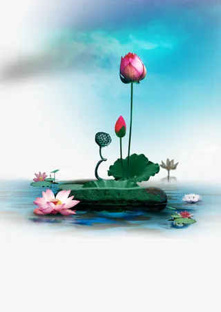 亭亭玉立含苞待放的荷花免抠