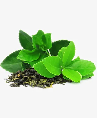 茶叶龙井茶免抠素材免抠