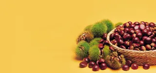 秋季农产品背景高清