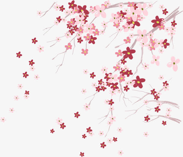 梅花树免抠
