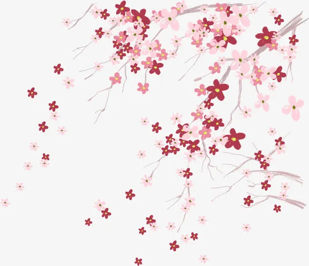 梅花树免抠