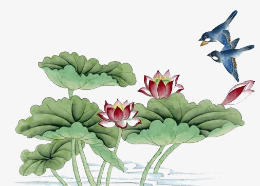 水墨荷花免抠