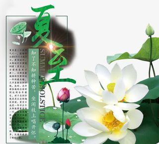 二十四节气夏至免抠素材免抠