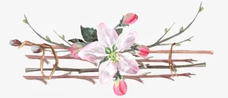 手绘树叶花边免抠