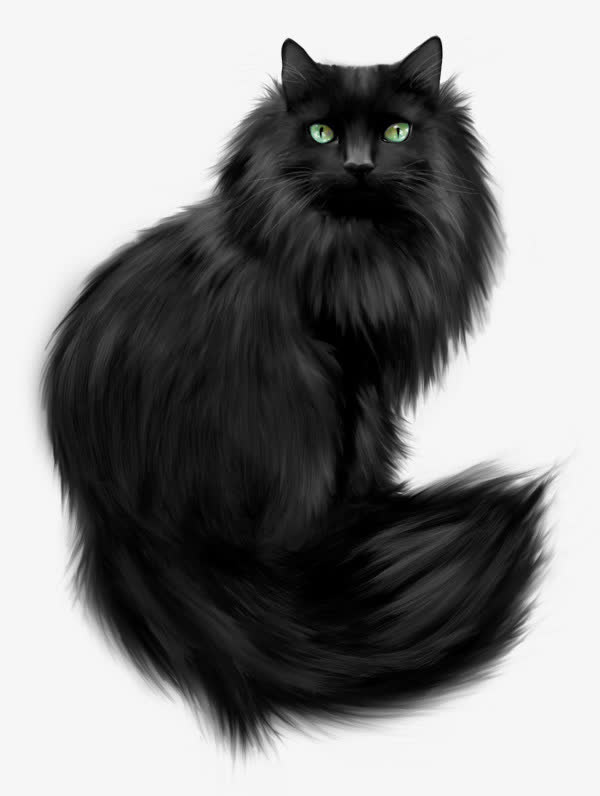 黑猫免抠