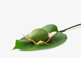 绿色清新树叶清明果免抠免抠