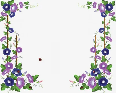 紫藤萝边角框免抠 紫藤萝边角框免抠