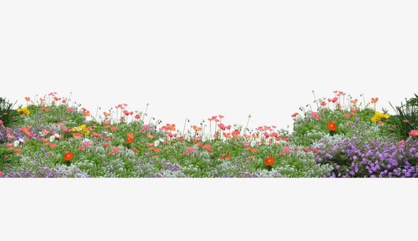 花草植物免抠背景摄影风景元素