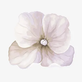 花朵彩绘图案贴纸画免抠