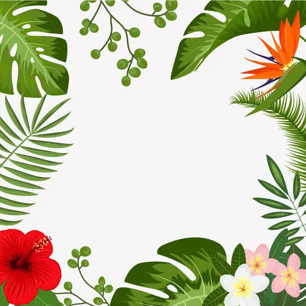 矢量夏日边框免抠